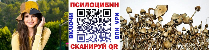 Галлюциногенные грибы Magic Shrooms  Бутурлиновка 